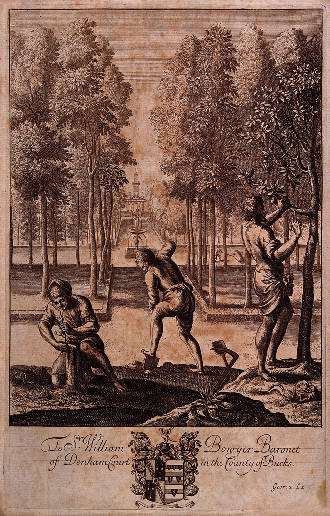 Sfeerbeeld Tuinstudio Groenveld 5